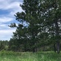 View Images