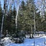 View Images